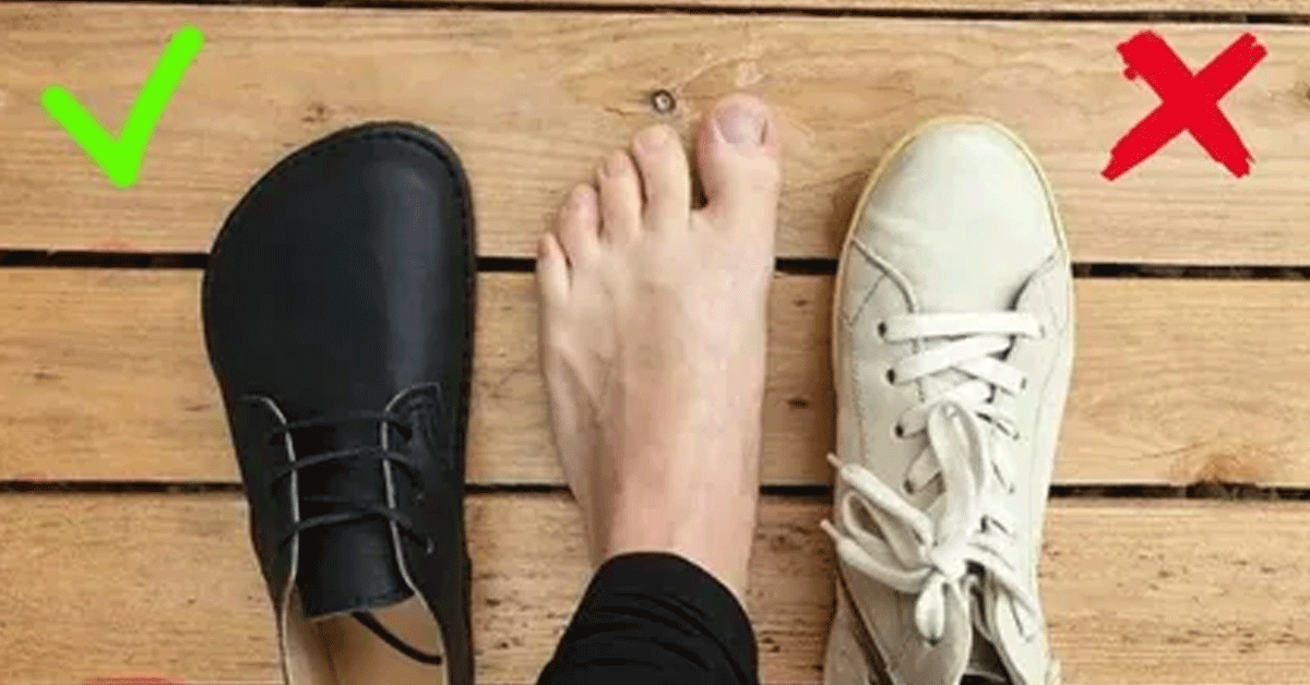 Szpic — zdjęcie artykułu